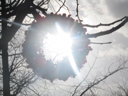 Sunblast - rays, light, sun, wreaths, shine