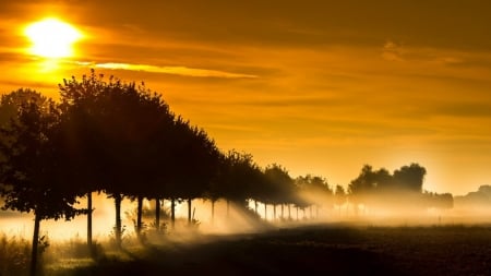 bright sunshine over foggy fields - fog, fields, trees, sunshine