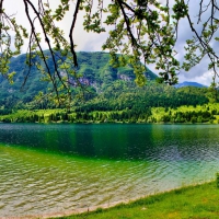 beautiful summer green lake in slovenia hdr