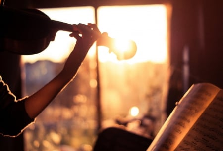 Violin - music, violin, window, photography