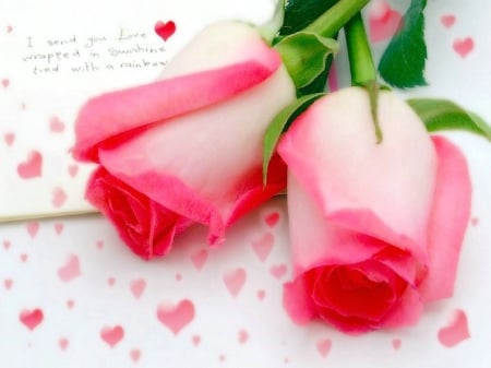 I Send You Love - love, roses, flower, pink