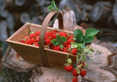 Strawberries - strawberry, berries, berry, strawberries