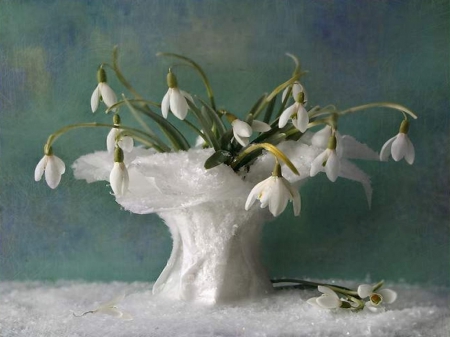 Snowdrops - snowdrops, decoration, flower, snowdrop