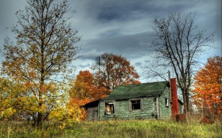 *** Autumn *** - nature, fall, autumn, trees