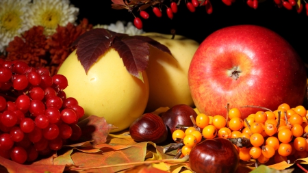 *** Autumn harvest *** - nature, autumn, harvest, fruits