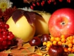 *** Autumn harvest ***