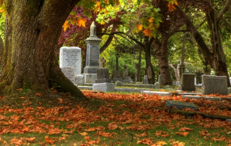 *** Autumn cementary *** - nature, fall, autumn, trees