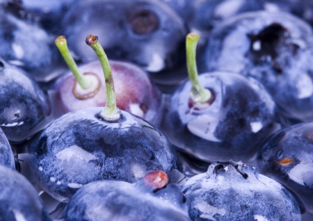 blueberries - berries, tails, blueberries, water, berry, blueberry