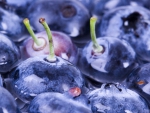 blueberries