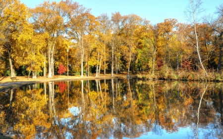 *** Autumn reflection *** - lake, forest, reflection, trees, nature, autumn