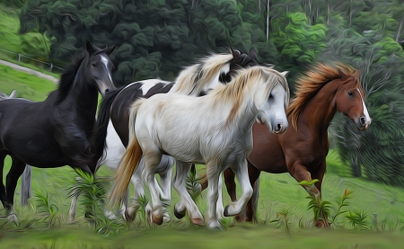 *** Horses *** - horses, horse, animal, animals