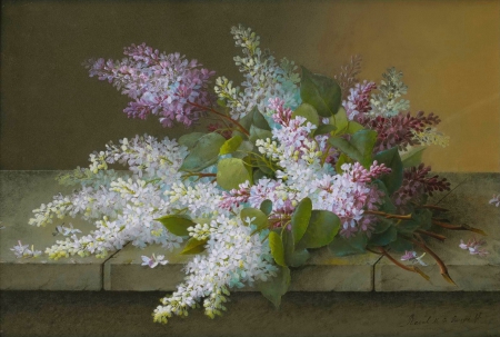 *** Lilacs *** - flowers, flower, nature, lilacs