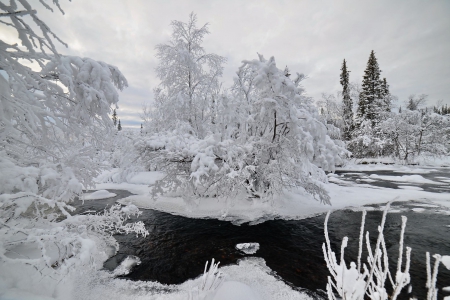 *** Winter *** - winter, river, trees, nature, snow