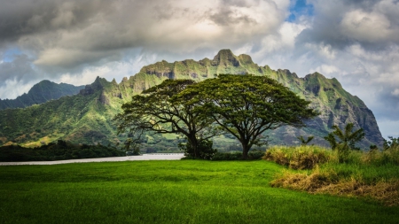 All By Themself - clouds, trees, grass, mountain, living, river, nature, green, country, sky