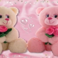 ~*~ Teddy Bears ~*~