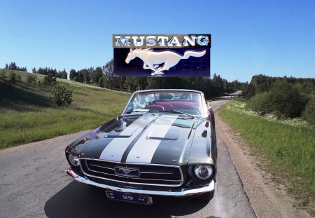 Mustang. - cars, mustang, technology, others