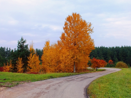 Autumn. - nature, others, autumn, fields