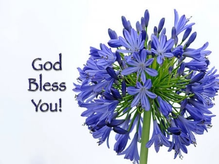 God Bless You - god bless you, bouquet, flower, greeting