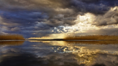 storm clouds reflected on a lake - storm, clouds, shore, reeds, lake, reflection