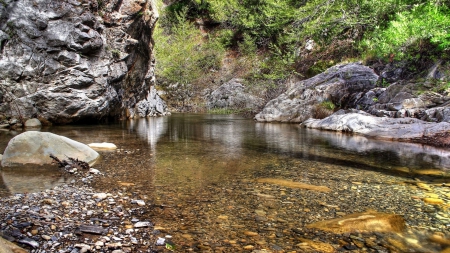 a clear rocky stream - vegetation, clear, stream, stones, rocks