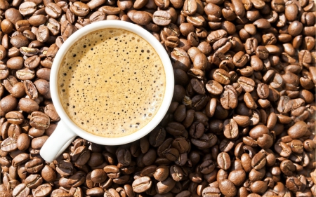 Coffee - drink, brown, coffee, macro, grain, liquid, drinks, cup