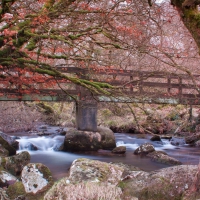 lovely bridge over rocky stream in belstone england