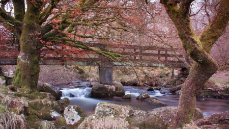 lovely bridge over rocky stream in belstone england - stream, bridge, trees, rocks