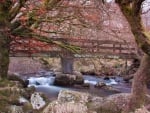 lovely bridge over rocky stream in belstone england