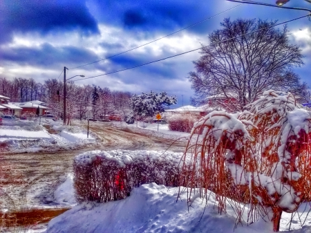 Winter - snowflake, beautiful, photography, tree, wonderful, nature, cold, winter, snowflakes, photo, sun, sky, lovely, splendor, ice, trees, snow