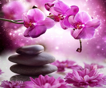 Spa design - romantic, orchid, spa, colors, wallpaper, stones, new