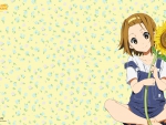 ~Tainaka Ritsu~