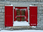 Still Life of a Window in Winter