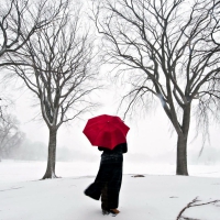 The Mysterious Red Umbrella