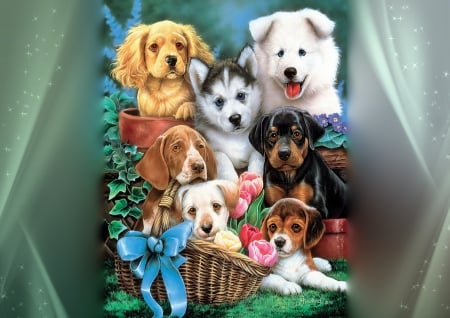 Cute friends - pot, frame, beautiful, photoshop, puppies, cozy, lovely, sweet, basket, cute, adorable, animals