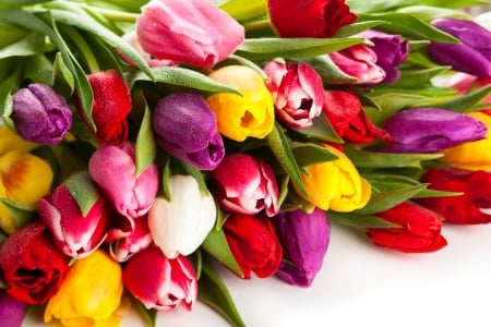 Tulips - with love, nature, for you, tulip, flowers, bouquet