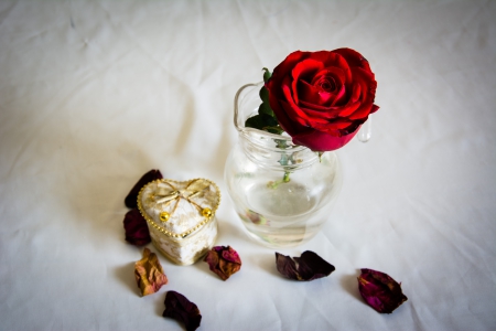 With Love - roses, nature, beautiful, rose, red roses, petals, still life