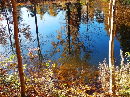 Reflections. - nature, others, autumn, fields