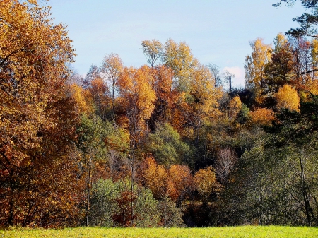 Buse castle mound. - nature, summer, history, others