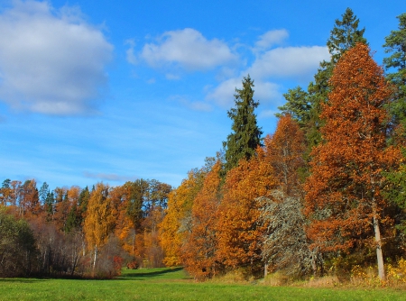 Buse castle mound. - nature, history, others, autumn