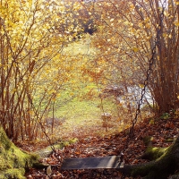 Autumn.  Church hill.