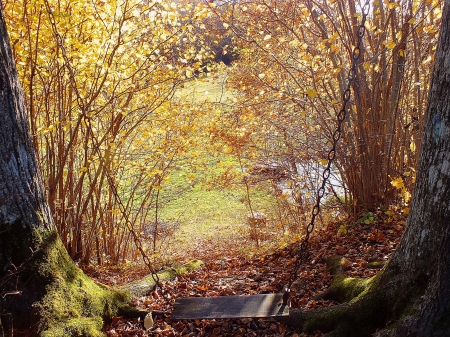 Autumn.  Church hill. - nature, history, others, autumn