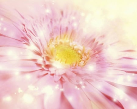 Flower art - art, sparks, flower, pink