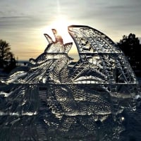 ice sculptures