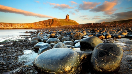 dunstanburgh castle on english rocky shore - hill, ruins, castle, shore, stones, sea