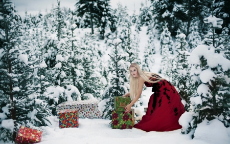 Ms.Red - red, women, dress, snow