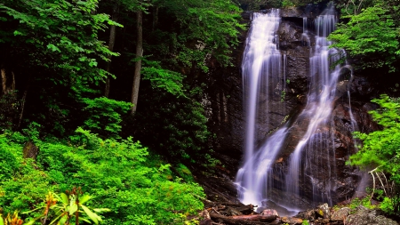 Waterfall - waterfalls, forest, nature, rocks