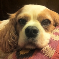 Eyes full of love