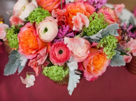 Ranunculus - nature, flowers, ranunculus, flower