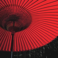 Red Parasol on a Rainy Night