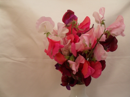 Sweet peas